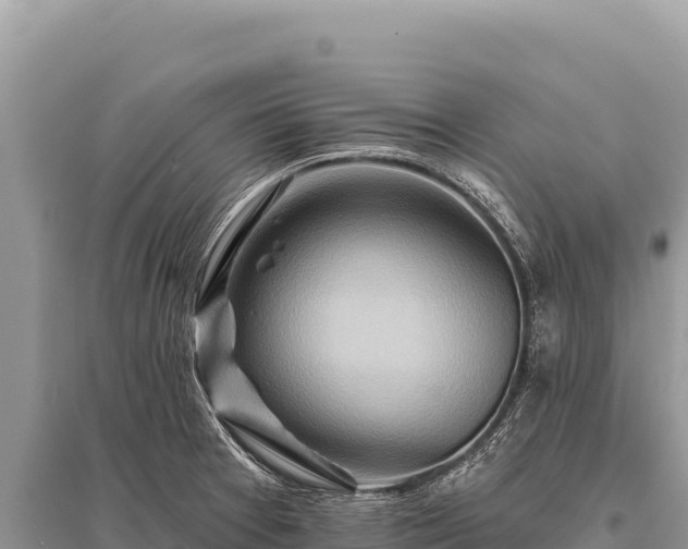 X0000096191377200801251230