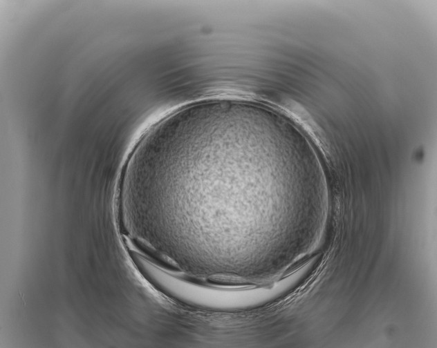 X0000096191379200801251230