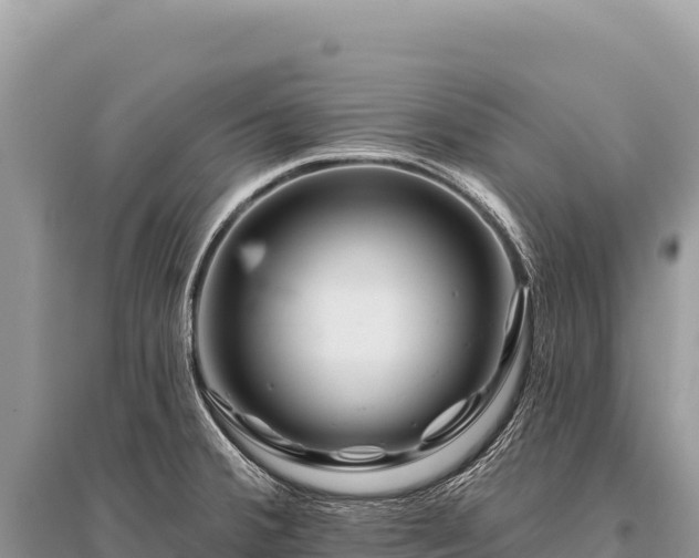 X0000096191380200801251229
