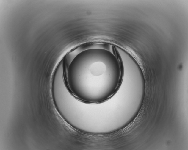 X0000096191384200801251229