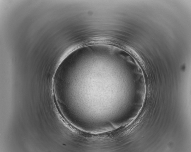 X0000096191386200801251229