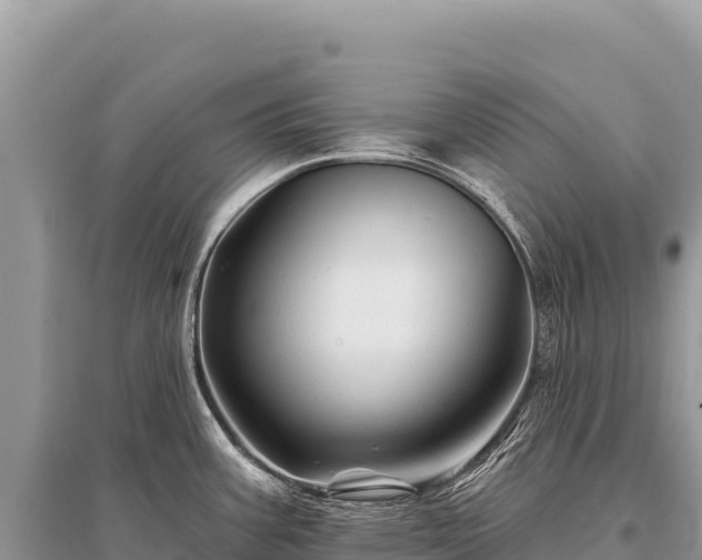 X0000096191387200801251229