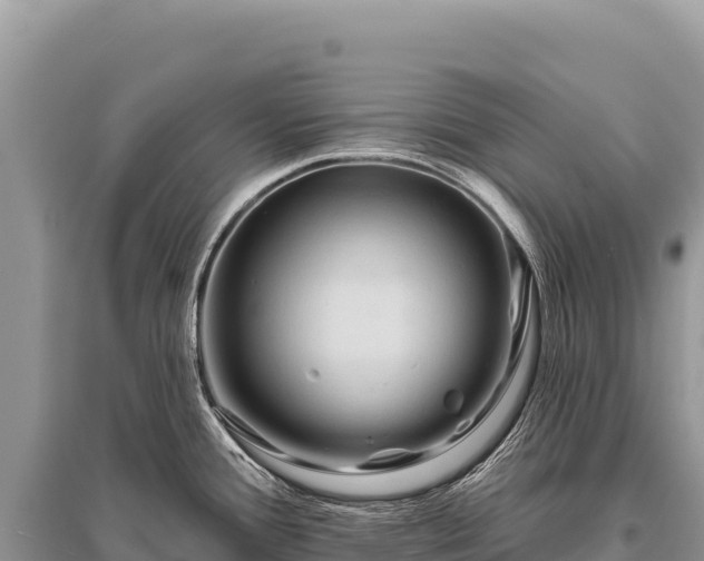 X0000096191388200801251229