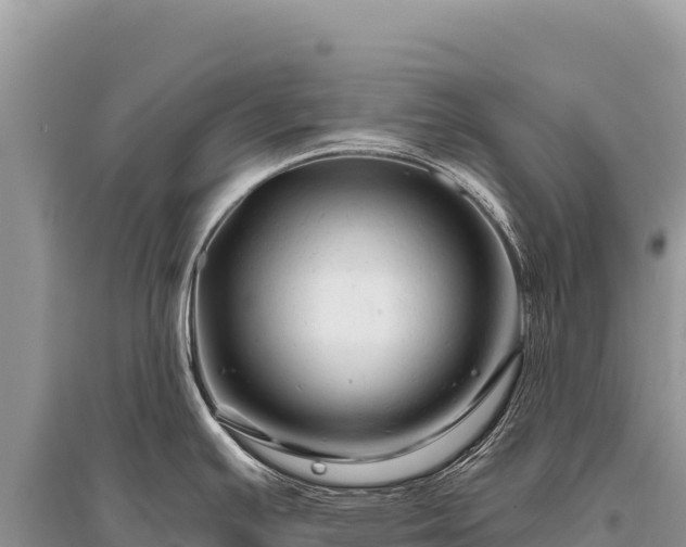 X0000096191391200801251229