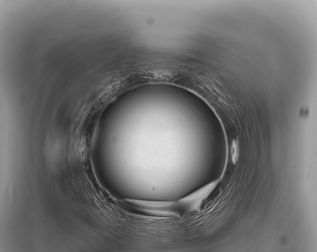 X0000096191395200801251229