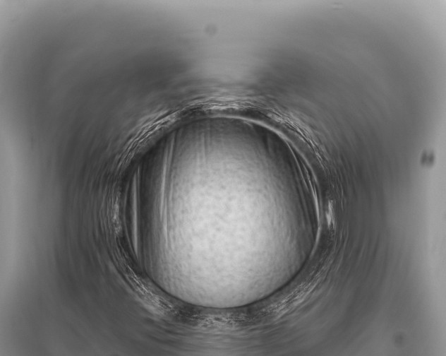 X0000096191396200801251229