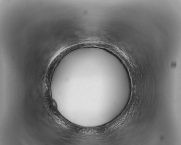 X0000096191400200801251229