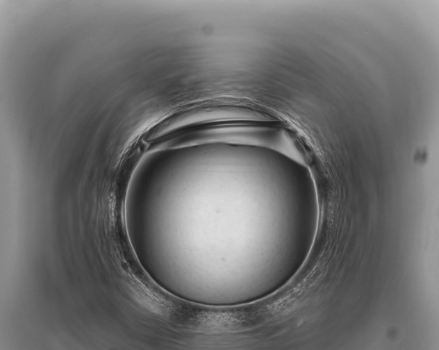 X0000096191402200801251229