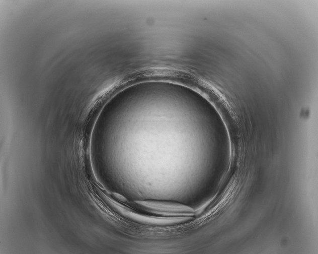 X0000096191403200801251229