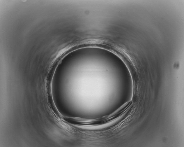 X0000096191404200801251229