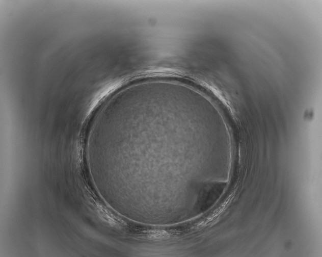 X0000096191405200801251229