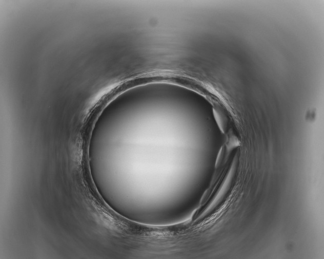 X0000096191406200801251229