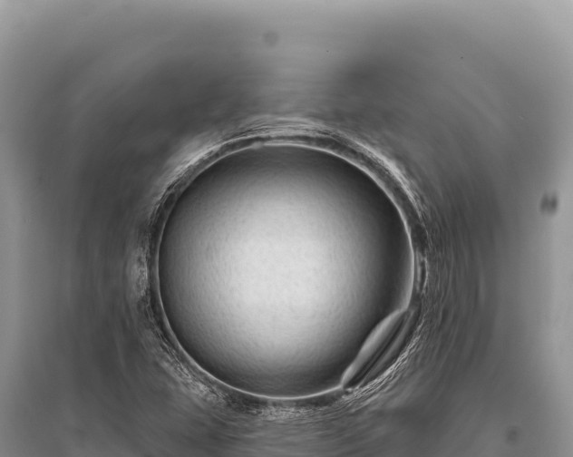 X0000096191407200801251229