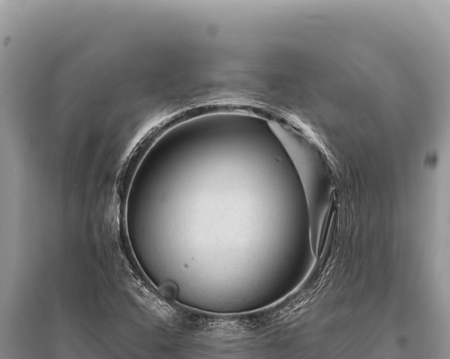 X0000096191408200801251229