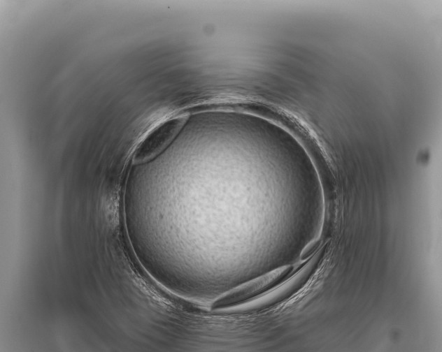 X0000096191409200801251229