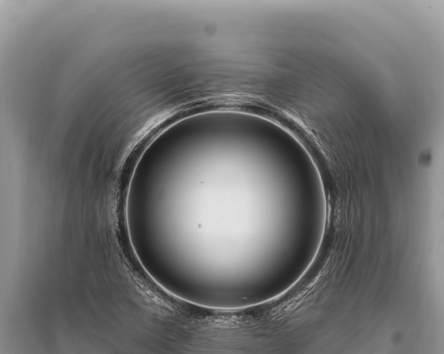 X0000096191410200801251229