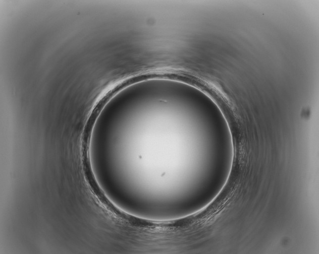 X0000096191412200801251229