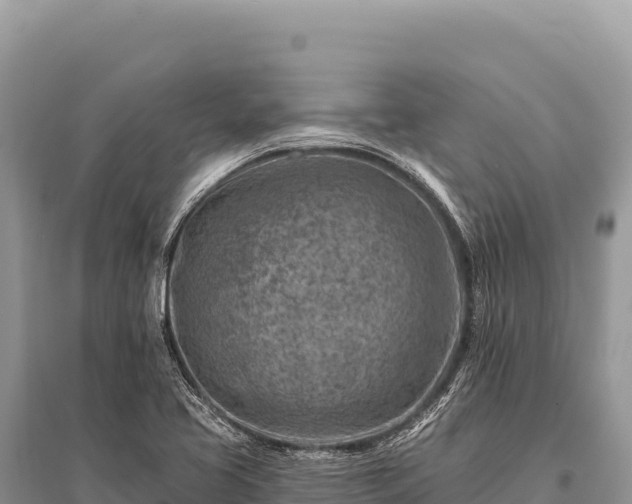 X0000096191413200801251229