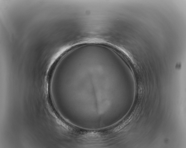 X0000096191414200801251229