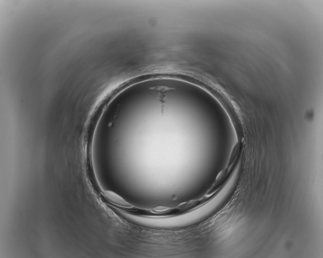 X0000096191416200801251229