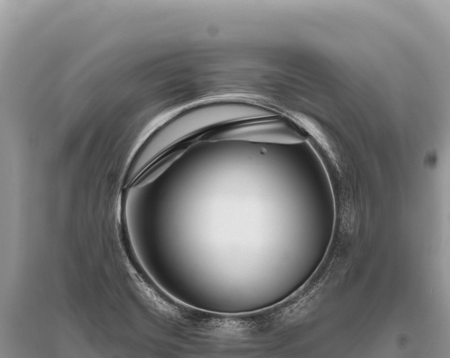 X0000096191420200801251229