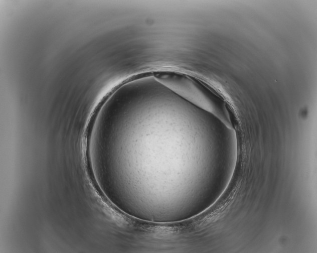 X0000096191424200801251229