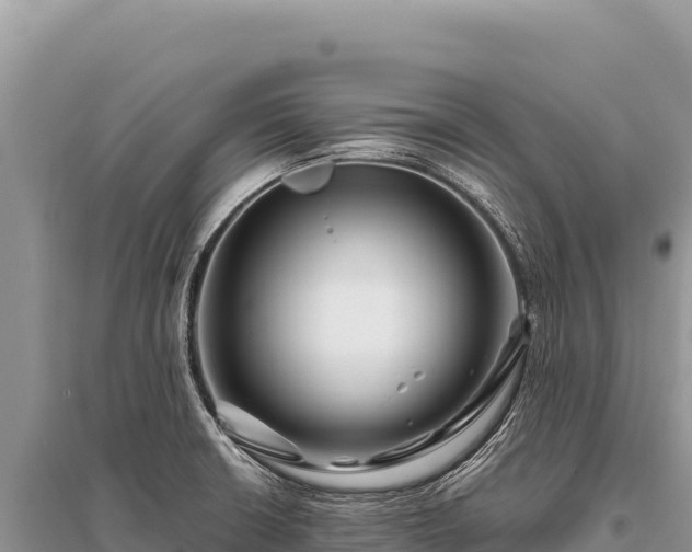 X0000096191426200801251229