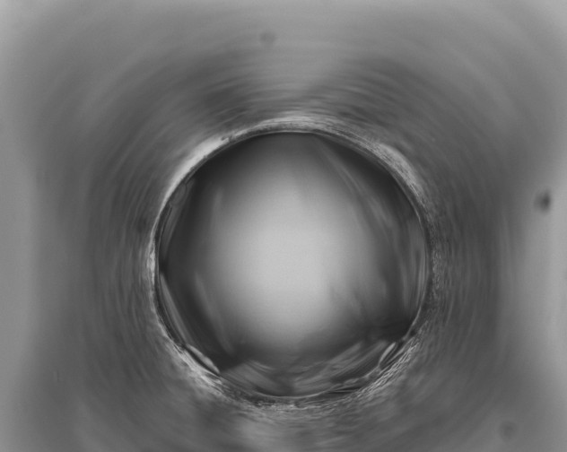 X0000096191428200801251229