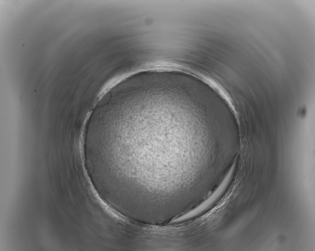 X0000096191429200801251229