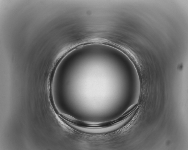 X0000096191430200801251229