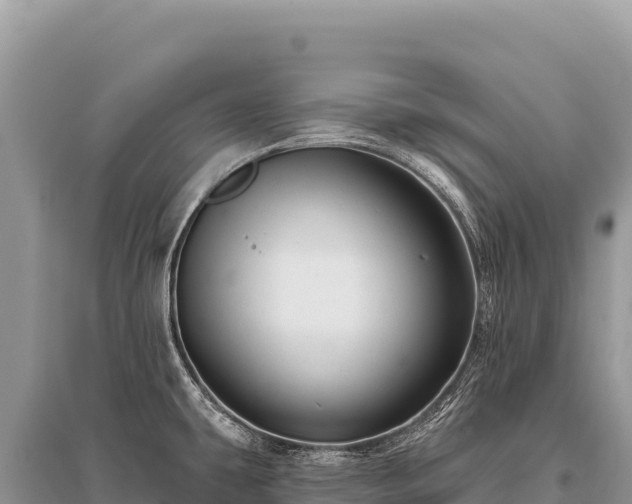X0000096191431200801251229