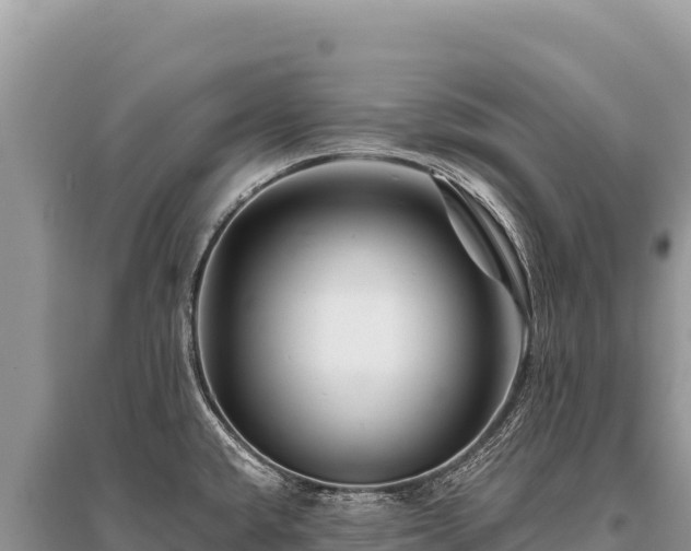 X0000096191432200801251229
