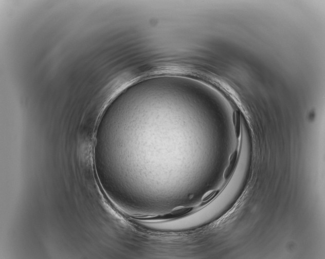 X0000096191433200801251229