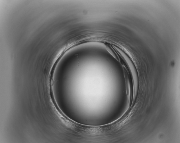 X0000096191434200801251229