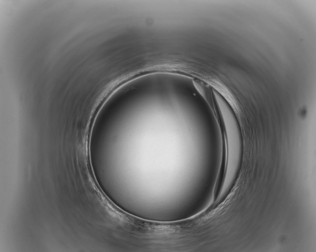 X0000096191436200801251229