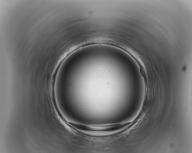 X0000096191437200801251229