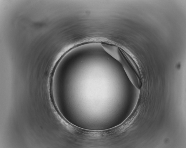 X0000096191438200801251229