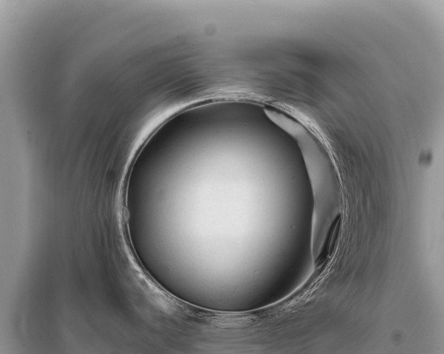 X0000096191440200801251229