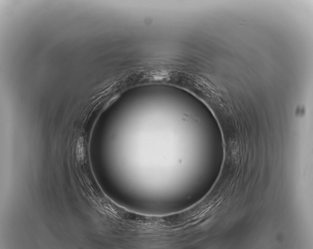 X0000096191442200801251229