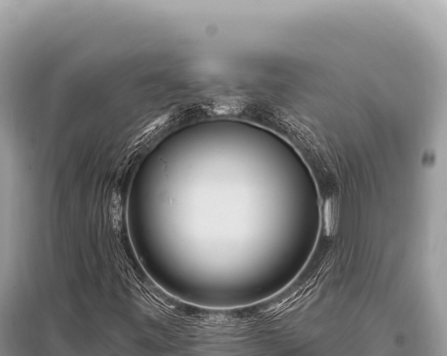X0000096191443200801251229