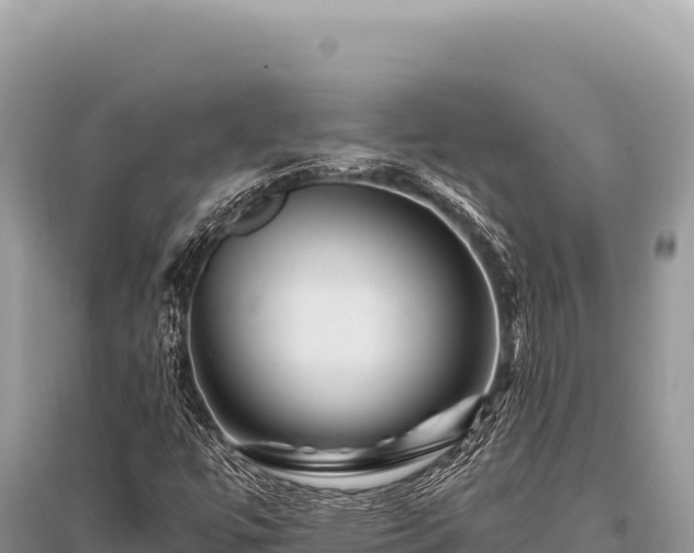 X0000096191447200801251229