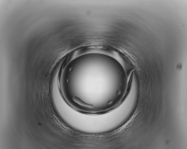 X0000096191449200801251229