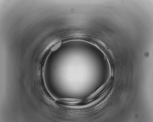 X0000096191450200801251229