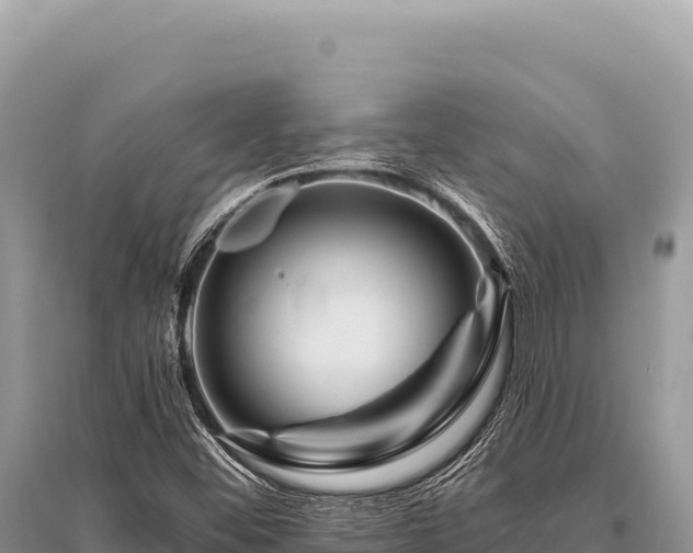 X0000096191452200801251229