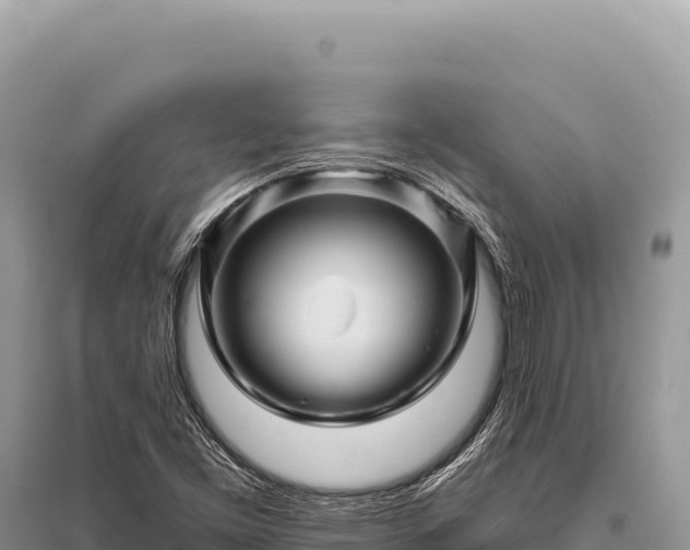 X0000096191453200801251228