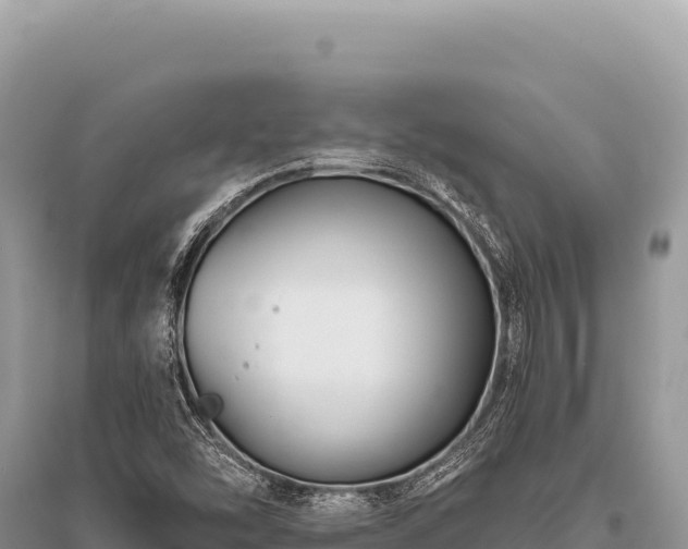 X0000096191454200801251228