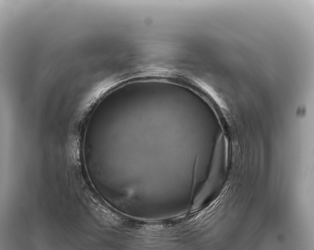 X0000096191455200801251228