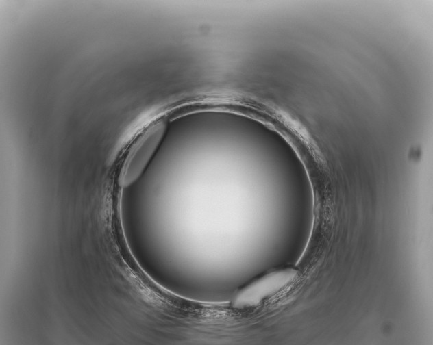 X0000096191456200801251228