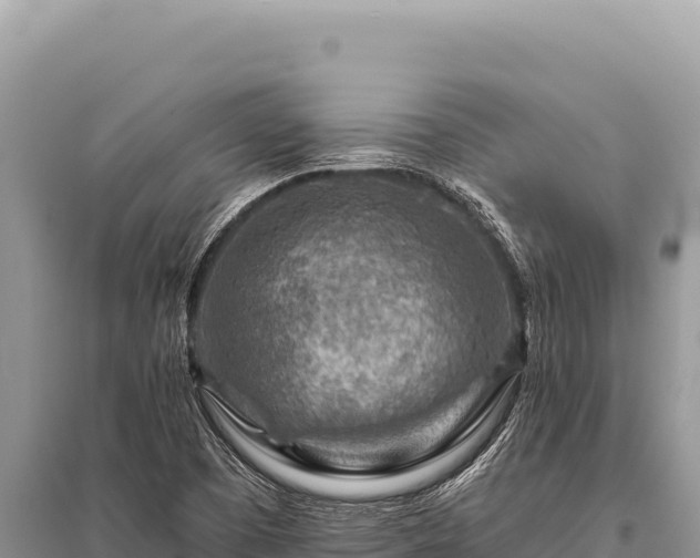 X0000096191457200801251228