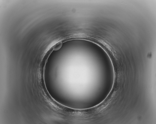 X0000096191458200801251228